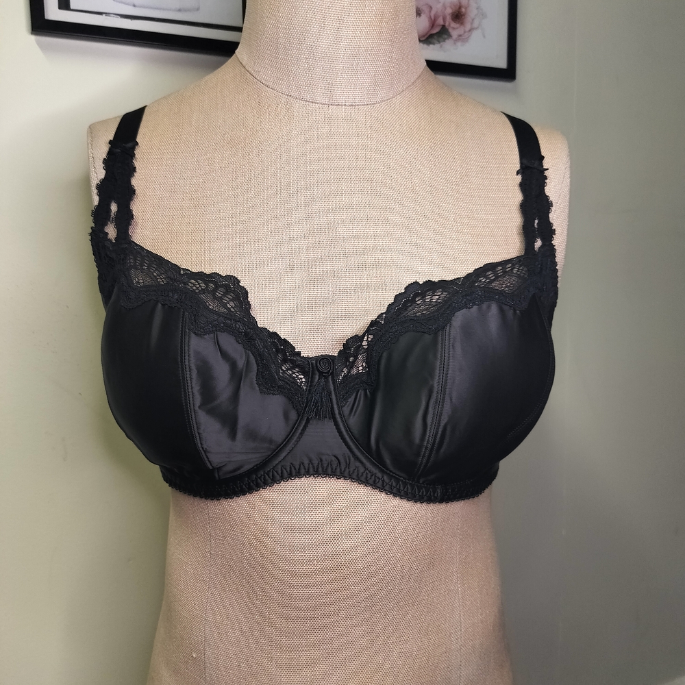 Starlift Full Figure Bra by DitaVonTesse 40F